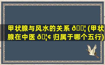 甲状腺与风水的关系 🐦 (甲状腺在中医 🦢 归属于哪个五行)